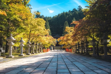 永代供養のおすすめは？霊園・納骨堂の選び方と資料請求で比較するコツ【2026】