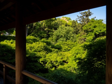 お墓を建てない供養の選択肢7つ｜費用と特徴を比較