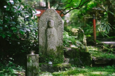 お墓を放置するとどうなる？無縁墓・撤去のリスクと対策